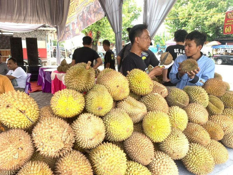 Di penghujung Akhir Tahun Pak Ndut hadirkan Pesta Durian