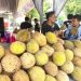 Di penghujung Akhir Tahun Pak Ndut hadirkan Pesta Durian