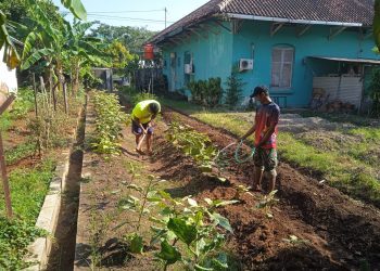 Dukung Ketahanan Pangan, Kodim Demak Rutin Lakukan Perawatan di Green House dan Lahan Hijau