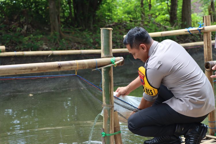 Kapolres Demak Tebar Benih Ikan di Kolam Milik Polsek Wedung