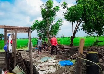 Puting Beliung Hantam Kadang Bebek di Demak