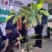 Simbol Integritas, Bawaslu Demak Tanam Pohon Manggis