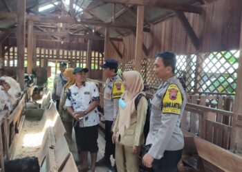 PMK Kembali Marak, Polisi Edukasi Peternak di Demak