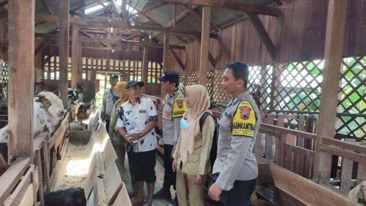PMK Kembali Marak, Polisi Edukasi Peternak di Demak