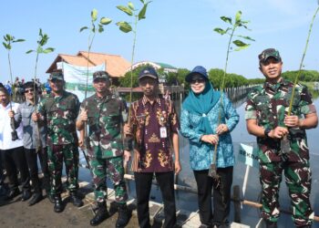 Demak Tanam 5000 Bibit Manggrove untuk Mengatasi Abrasi dan Banjir Rob