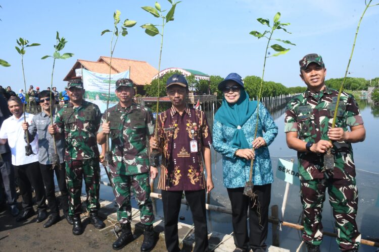 Demak Tanam 5000 Bibit Manggrove untuk Mengatasi Abrasi dan Banjir Rob