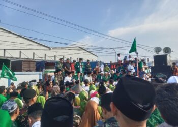 Matapadma