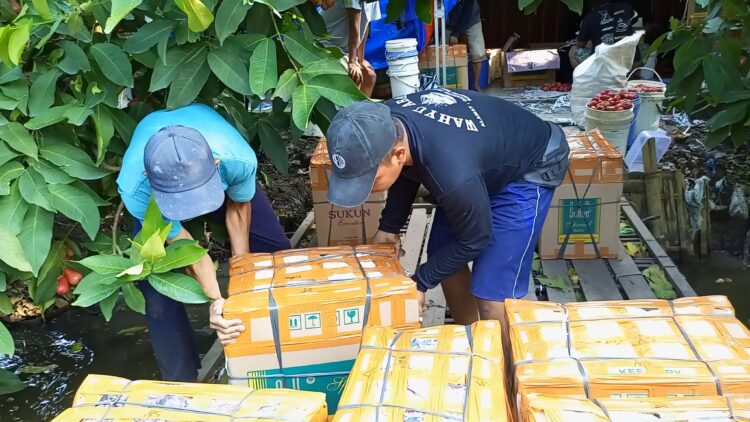 Cuaca Ekstrem Tak Halangi Panen, Petani Jambu Citra di Demak Raup Puluhan Ton Tiap Musim