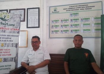 Perhutani Jembolo Utara Klarifikasi Isu Penjualan Kayu Ilegal di Demak