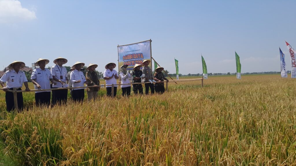 <p> <img src="matapadma.jpg" alt=""> <strong>Matapadma:</strong> ... </p>