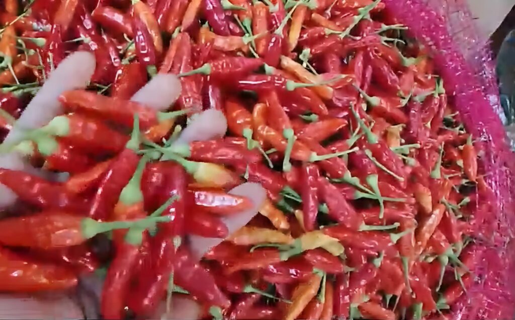 <p> <img src="matapadma.jpg" alt=""> <strong>Matapadma:</strong> ... </p>