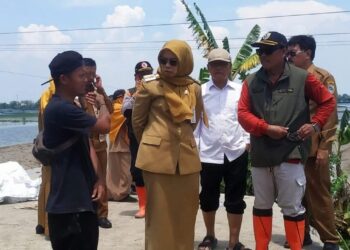 Bupati Demak Tinjau Lokasi Tanggul Jebol di Kecamatan Guntur
