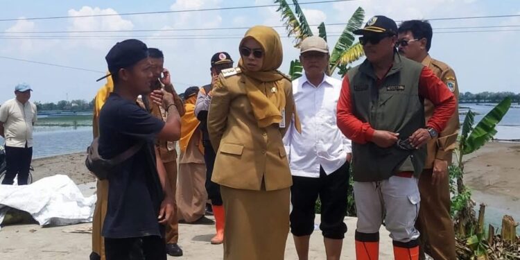 Bupati Demak Tinjau Lokasi Tanggul Jebol di Kecamatan Guntur