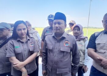 Harga Gabah Menguat, Tani Merdeka Dorong Produktivitas dan Regenerasi Petani
