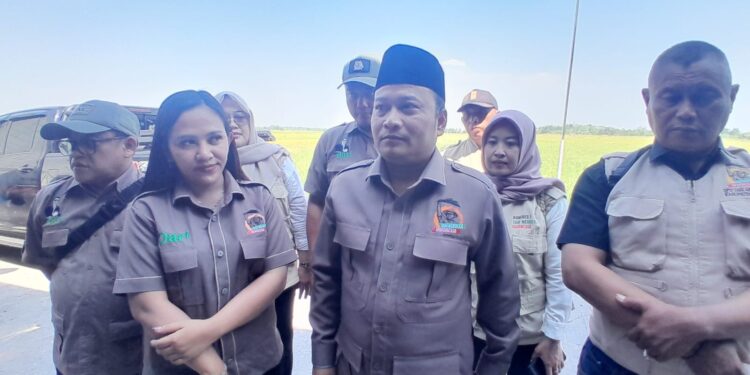 Harga Gabah Menguat, Tani Merdeka Dorong Produktivitas dan Regenerasi Petani
