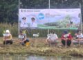 Peringati Hari Lingkungan Hidup Sedunia, Pemkab Demak Tanam 1.500 Bibit Mangrove di Tambakbulusan