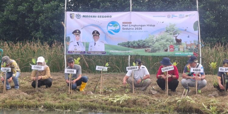 Peringati Hari Lingkungan Hidup Sedunia, Pemkab Demak Tanam 1.500 Bibit Mangrove di Tambakbulusan