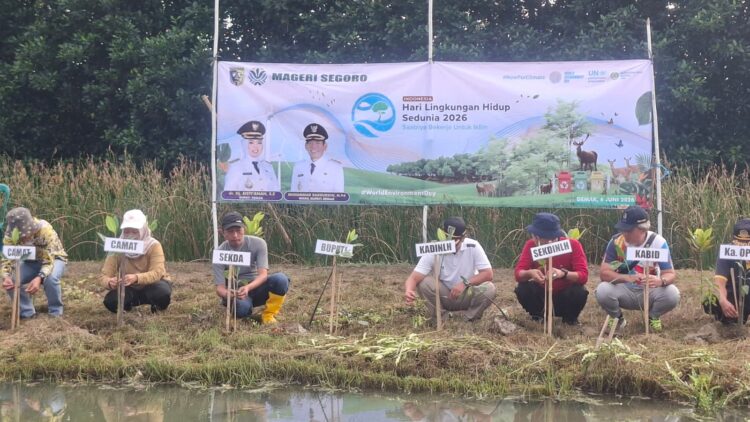 Peringati Hari Lingkungan Hidup Sedunia, Pemkab Demak Tanam 1.500 Bibit Mangrove di Tambakbulusan