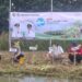 Peringati Hari Lingkungan Hidup Sedunia, Pemkab Demak Tanam 1.500 Bibit Mangrove di Tambakbulusan