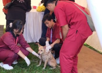 pengendalian rabies