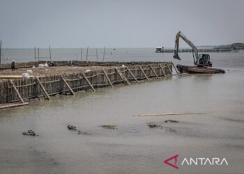 Pemasangan struktur pemecah ombak perlindungan pesisir di Sayung Demak