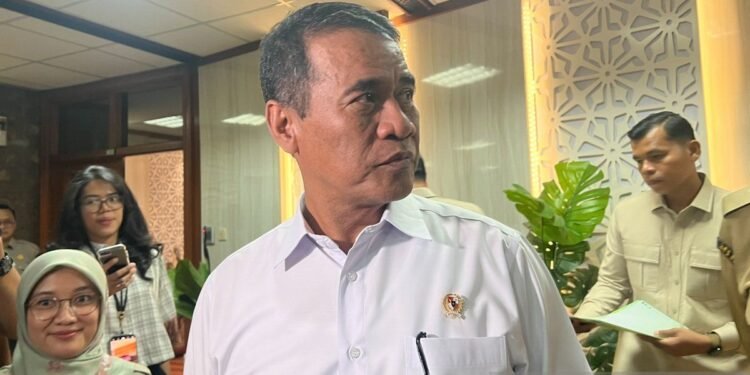 Stok Beras