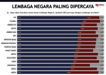Survei Adidaya
